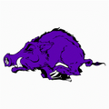 Razorbacks mascot photo.