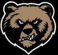 Golden Bears mascot photo.