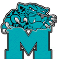 Jaguars mascot photo.