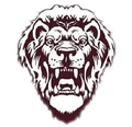Lions mascot photo.