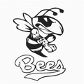 Bees mascot photo.