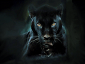 Croom Cougar mascot photo.