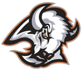 Buffalos mascot photo.