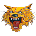 Wildcats mascot photo.