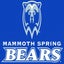 Mammoth Spring High School 