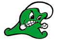 Green Wave mascot photo.