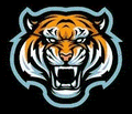 Bengals mascot photo.