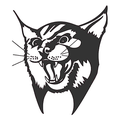 Lynx mascot photo.