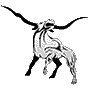 Longhorns mascot photo.