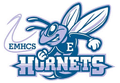Hornets mascot photo.