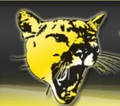 Cougars mascot photo.
