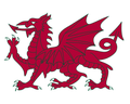 Dragons mascot photo.