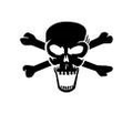 Pirates mascot photo.