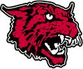 Wildcats mascot photo.