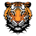 Tigers mascot photo.