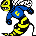 Yellowjackets mascot photo.