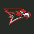 Falcons mascot photo.