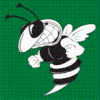 Green Hornets mascot photo.