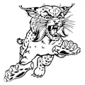 Wildcats mascot photo.
