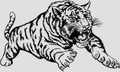 Tigers mascot photo.