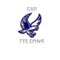 Falcons mascot photo.