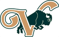 Buffalo mascot photo.