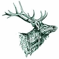 Elks/Elkettes mascot photo.