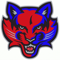 Bearcats mascot photo.