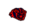 Wolverines mascot photo.