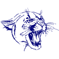 Cougars mascot photo.