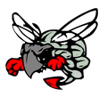 Hornets mascot photo.