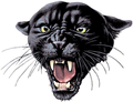 Panthers mascot photo.