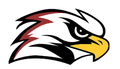 Falcons mascot photo.