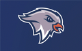 Nighthawks mascot photo.
