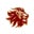 Legacy Christian Academy