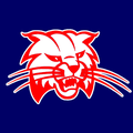 Bobcats mascot photo.