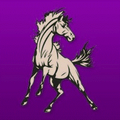 Mustangs mascot photo.