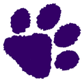 Bobcats  mascot photo.