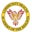 Community Health Academy