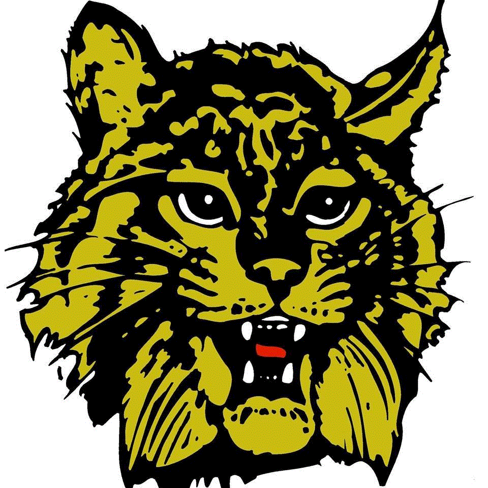 Basketball Game Preview Carroll County Cavaliers Vs Radford Bobcats Basketball Game Preview Carroll County Cavaliers Vs Radford Bobcats