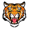 Tigers mascot photo.