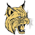 Wildcats mascot photo.