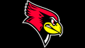 Redbirds mascot photo.