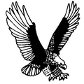 Eagles mascot photo.