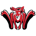 Kangaroos mascot photo.
