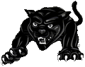 Black Cats mascot photo.