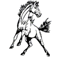 Mustangs mascot photo.