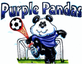 Panda mascot photo.