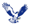 Hawks mascot photo.