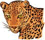 Leopards mascot photo.